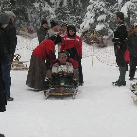 Chalet Lauber