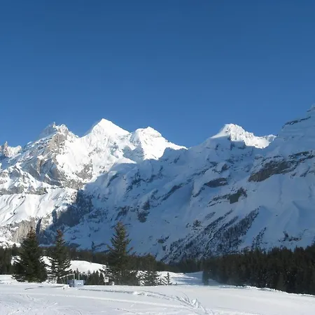 Apartment Chalet Lauber *