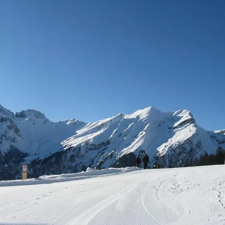 Chalet Lauber Apartament Frutigen